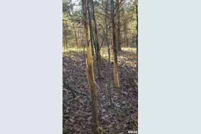 000 Route 166, Creal Springs, IL 62922 - Photo 11