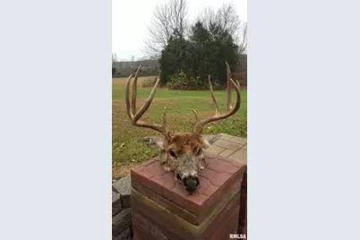 000 Route 166, Creal Springs, IL 62922 - Photo 9