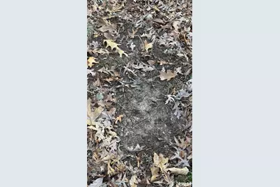 000 Route 166, Creal Springs, IL 62922 - Photo 37