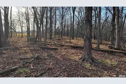 000 Route 166, Creal Springs, IL 62922 - Photo 41