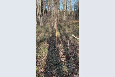 000 Route 166, Creal Springs, IL 62922 - Photo 17