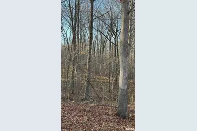 000 Route 166, Creal Springs, IL 62922 - Photo 31