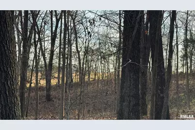 000 Route 166, Creal Springs, IL 62922 - Photo 45