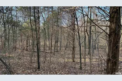 000 Route 166, Creal Springs, IL 62922 - Photo 19