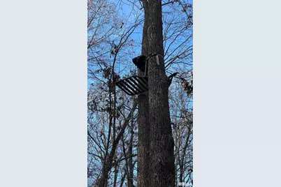 000 Route 166, Creal Springs, IL 62922 - Photo 43