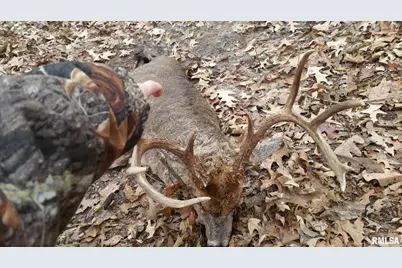 000 Route 166, Creal Springs, IL 62922 - Photo 7