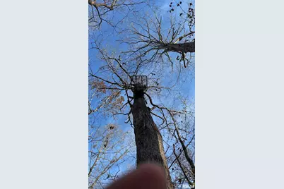 000 Route 166, Creal Springs, IL 62922 - Photo 35