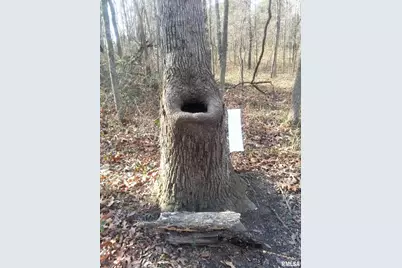 000 Route 166, Creal Springs, IL 62922 - Photo 13