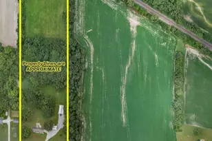 1723 Walnut Hill Rd, Centralia, IL 62801 - Photo 47