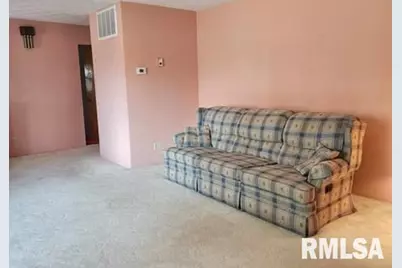 300 N 8th Street, Earlville, IL 62932 - Photo 15