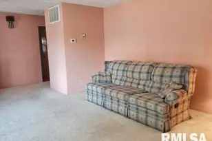 300 N 8th St, Earlville, IL 62932 - Photo 15