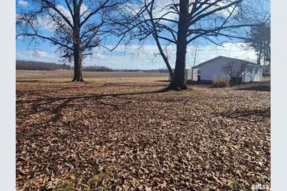 300 N 8th Street, Earlville, IL 62932 - Photo 11