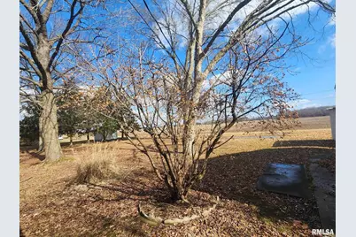 300 N 8th Street, Earlville, IL 62932 - Photo 13