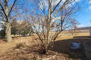 300 N 8th St, Earlville, IL 62932 - Photo 13