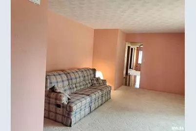 300 N 8th Street, Earlville, IL 62932 - Photo 17