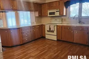 300 N 8th St, Earlville, IL 62932 - Photo 19