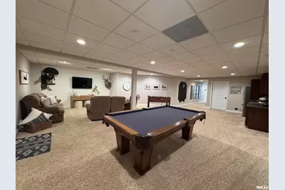 3024 Wabash 12 Avenue, Mount Carroll, IL 62863 - Photo 51