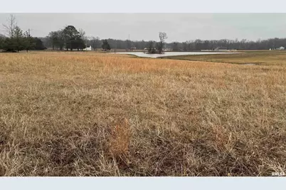 Lot 13 Dove Lane, Eldorado, IL 62930 - Photo 3