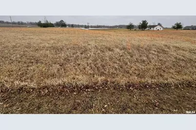 Lot 13 Dove Lane, Eldorado, IL 62930 - Photo 1