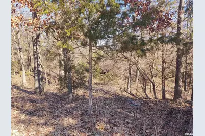 425 Pioneer Lane, Vienna, IL 62995 - Photo 39