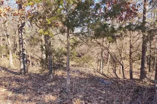 425 Pioneer Ln, Vienna, IL 62995 - Photo 39