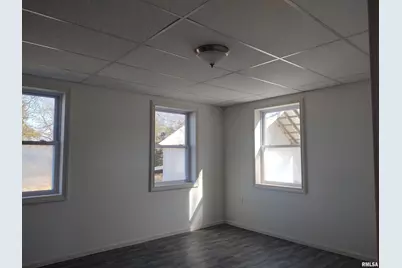 425 Pioneer Lane, Vienna, IL 62995 - Photo 11