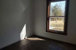 425 Pioneer Ln, Vienna, IL 62995 - Photo 15