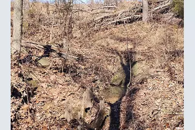 425 Pioneer Lane, Vienna, IL 62995 - Photo 51