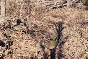 425 Pioneer Ln, Vienna, IL 62995 - Photo 51