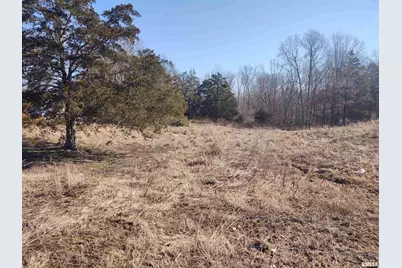 425 Pioneer Lane, Vienna, IL 62995 - Photo 25