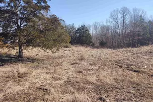 425 Pioneer Ln, Vienna, IL 62995 - Photo 25