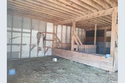 425 Pioneer Lane, Vienna, IL 62995 - Photo 29