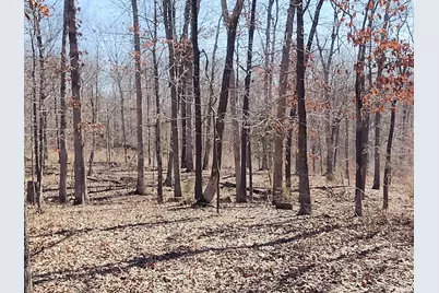 425 Pioneer Lane, Vienna, IL 62995 - Photo 49