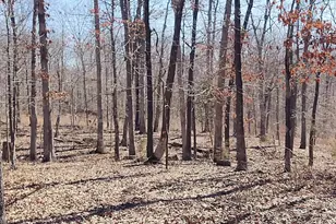 425 Pioneer Ln, Vienna, IL 62995 - Photo 49