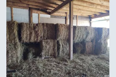 425 Pioneer Lane, Vienna, IL 62995 - Photo 37