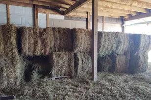 425 Pioneer Ln, Vienna, IL 62995 - Photo 37