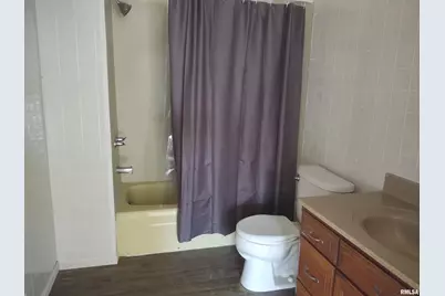 425 Pioneer Lane, Vienna, IL 62995 - Photo 9