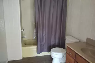 425 Pioneer Ln, Vienna, IL 62995 - Photo 9