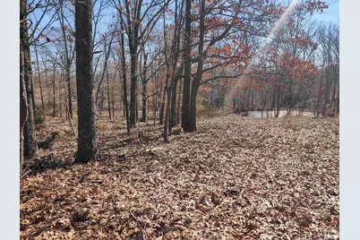 425 Pioneer Lane, Vienna, IL 62995 - Photo 47