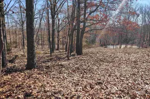 425 Pioneer Ln, Vienna, IL 62995 - Photo 47