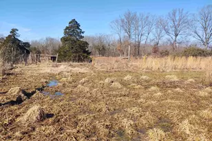 425 Pioneer Ln, Vienna, IL 62995 - Photo 23