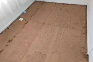 3936 W Sycamore St, Carterville, IL 62918 - Photo 17