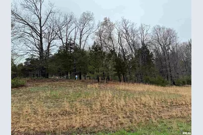 Lot 365&366 Clifty Lane, Orangeville, IL 62939 - Photo 3
