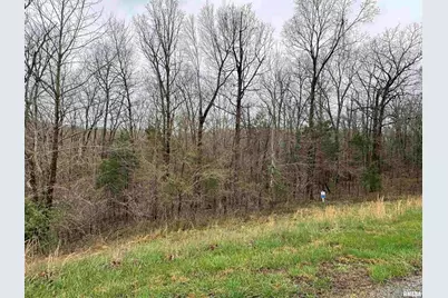 Lot 365&366 Clifty Lane, Orangeville, IL 62939 - Photo 5