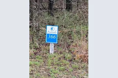 Lot 365&366 Clifty Lane, Orangeville, IL 62939 - Photo 9