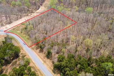 Lot 341&342 Clifty Lane, Orangeville, IL 62939 - Photo 1