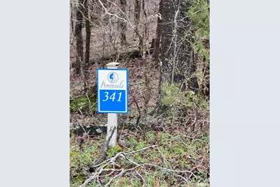 Lot 341&342 Clifty Lane, Orangeville, IL 62939 - Photo 7