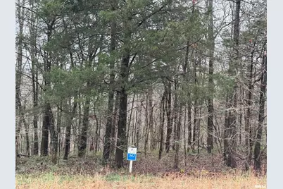Lot 341&342 Clifty Lane, Orangeville, IL 62939 - Photo 3