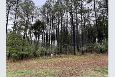 Lot 122&123 Deer Lane, Orangeville, IL 62939 - Photo 1