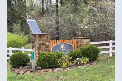 Lot 122&123 Deer Lane, Orangeville, IL 62939 - Photo 3